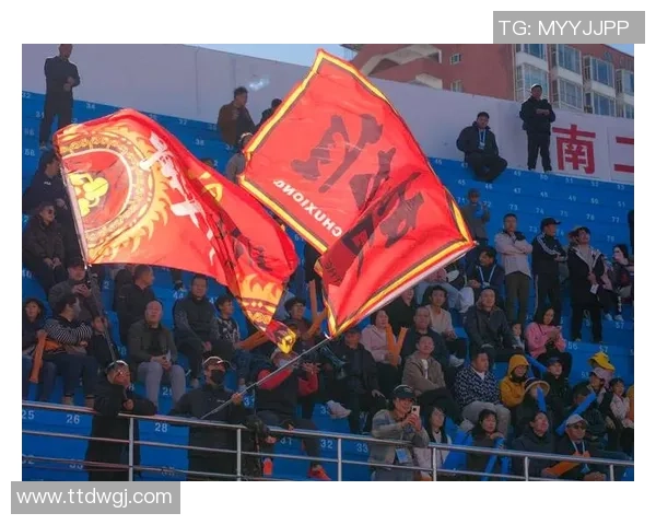 滇超大理赛场:球员太拼了!球迷热心“蓝”不住!